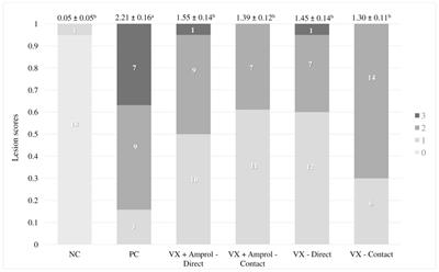 Impact of Eimeria meleagrimitis and intermittent amprolium treatment on performance and the gut microbiome composition of Turkey poults